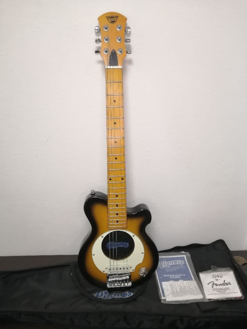 最終値下げソフトケース付き【良品】Pignose ピグノーズ PGG-200