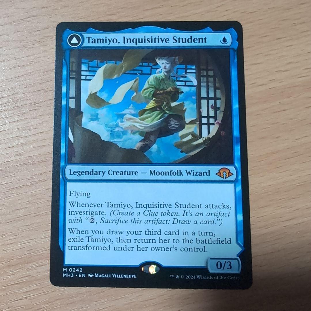 知りたがりの学徒、タミヨウ　英語版　４枚セット