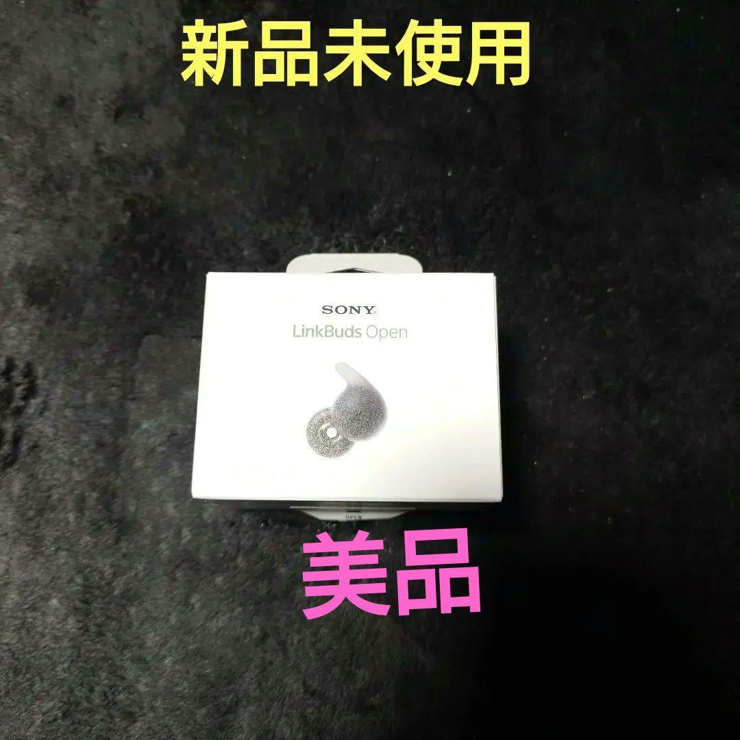 ソニー ワイヤレス イヤホン　WF-L910BZ