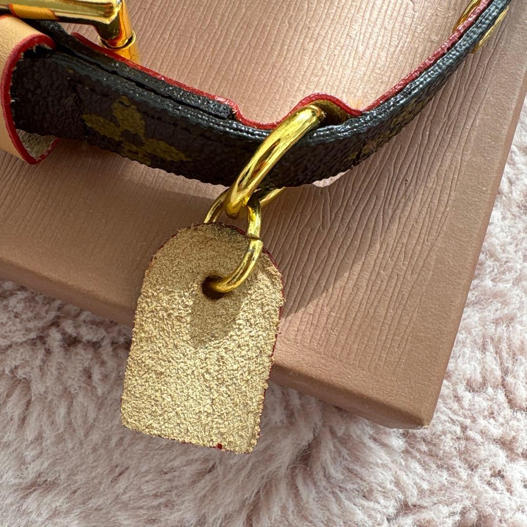 Louis Vuitton モノグラムレザー首輪　リード