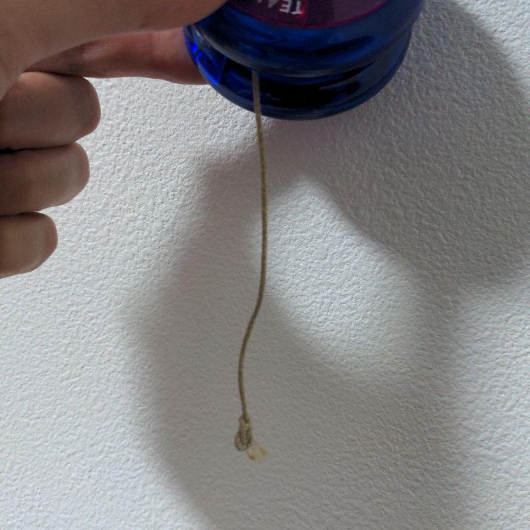 THPヨーヨー  ハワイ  ホノルル