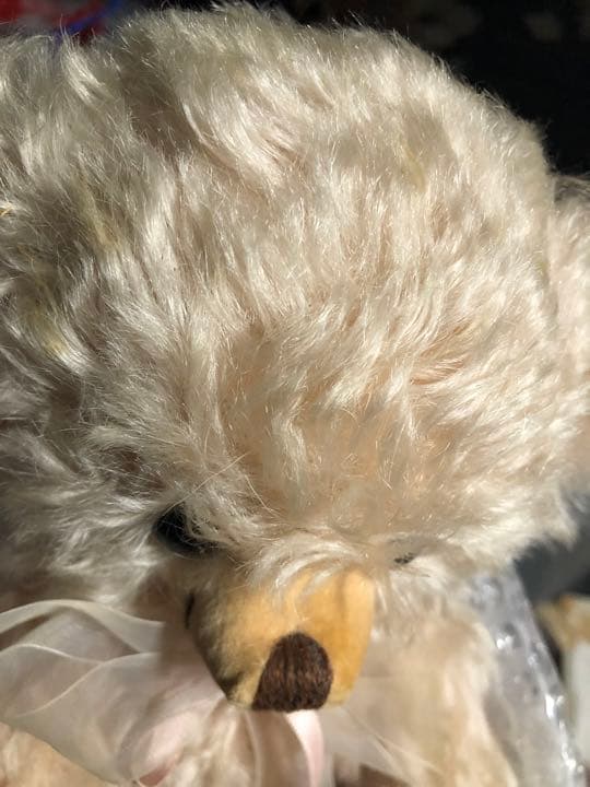 メリーソート　チーキー　sakura