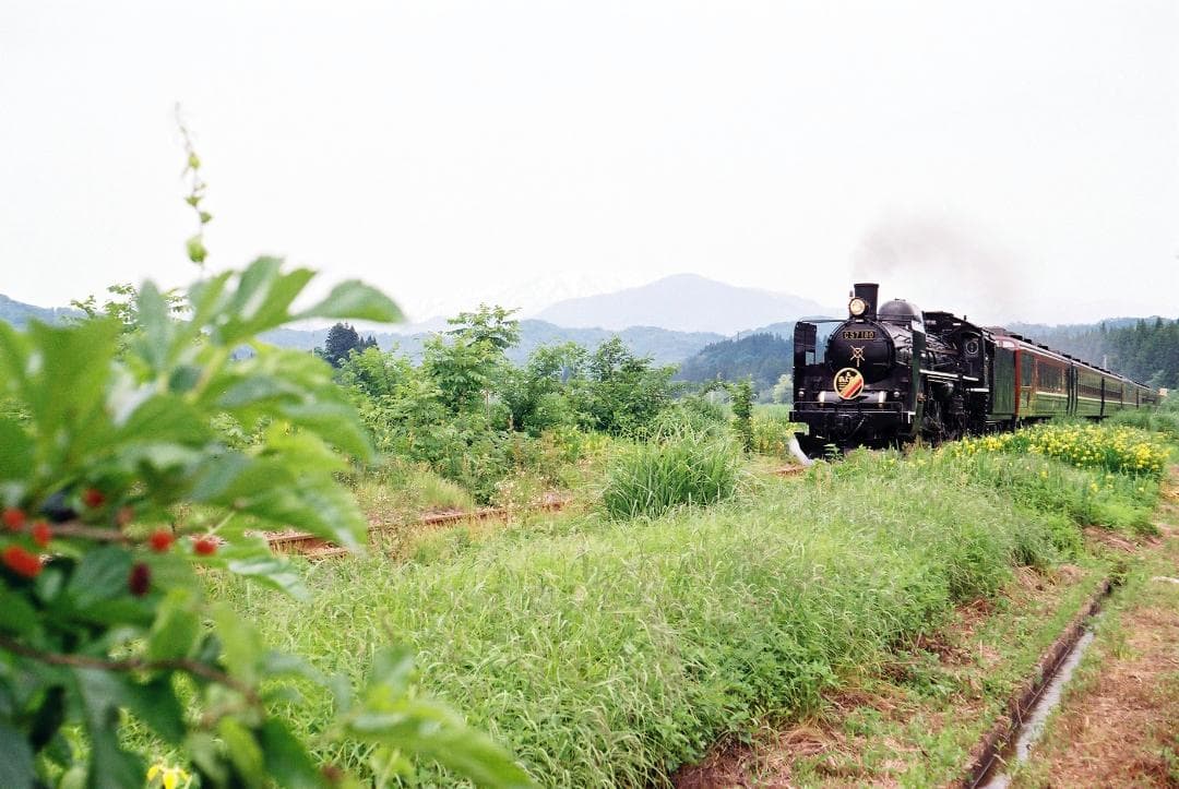 【実写確認済整備品】フォクトレンダーVITOⅡa／カラースコパー50mmf3.5