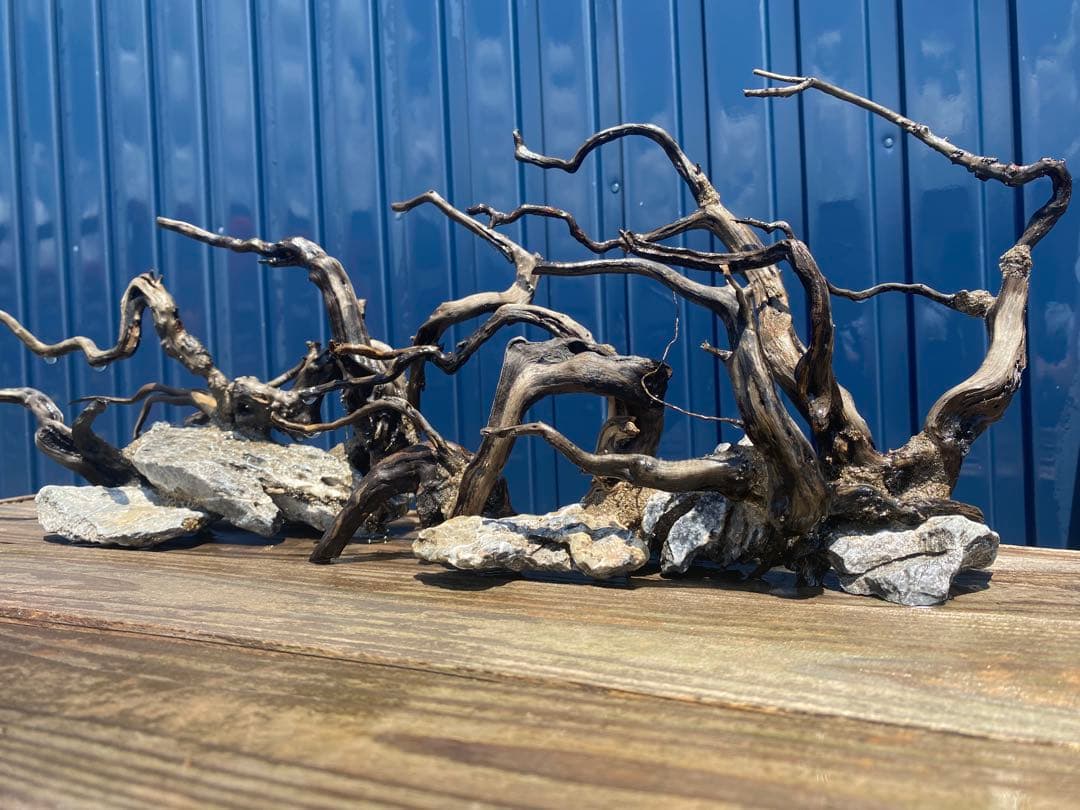 流木レイアウト 2点セット　A853