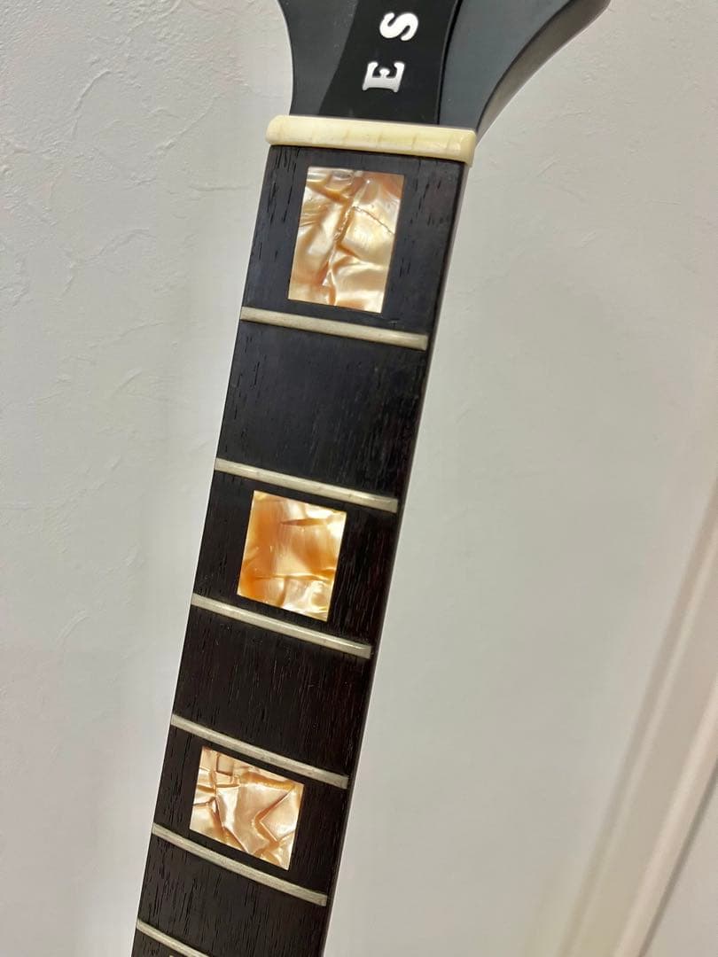 LUNA SEA INORANモデル初期型【改造品】