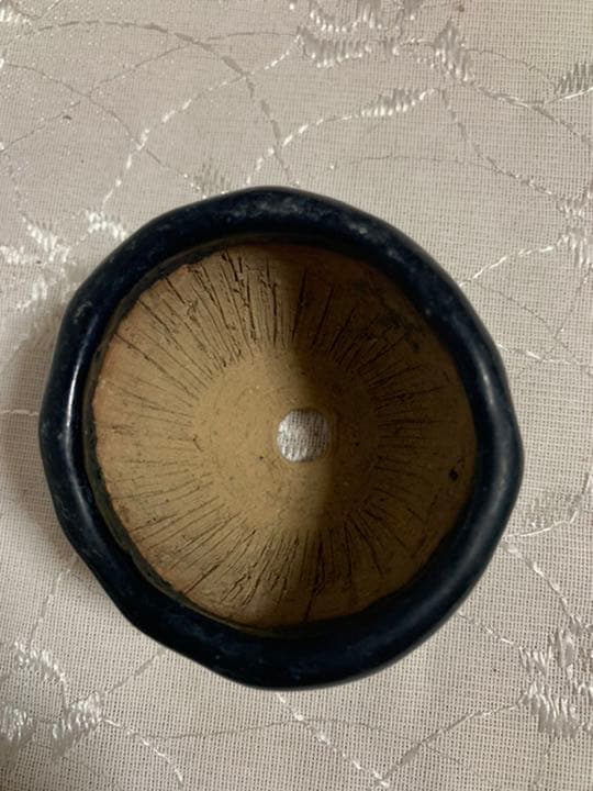 初代東福寺　盆栽鉢