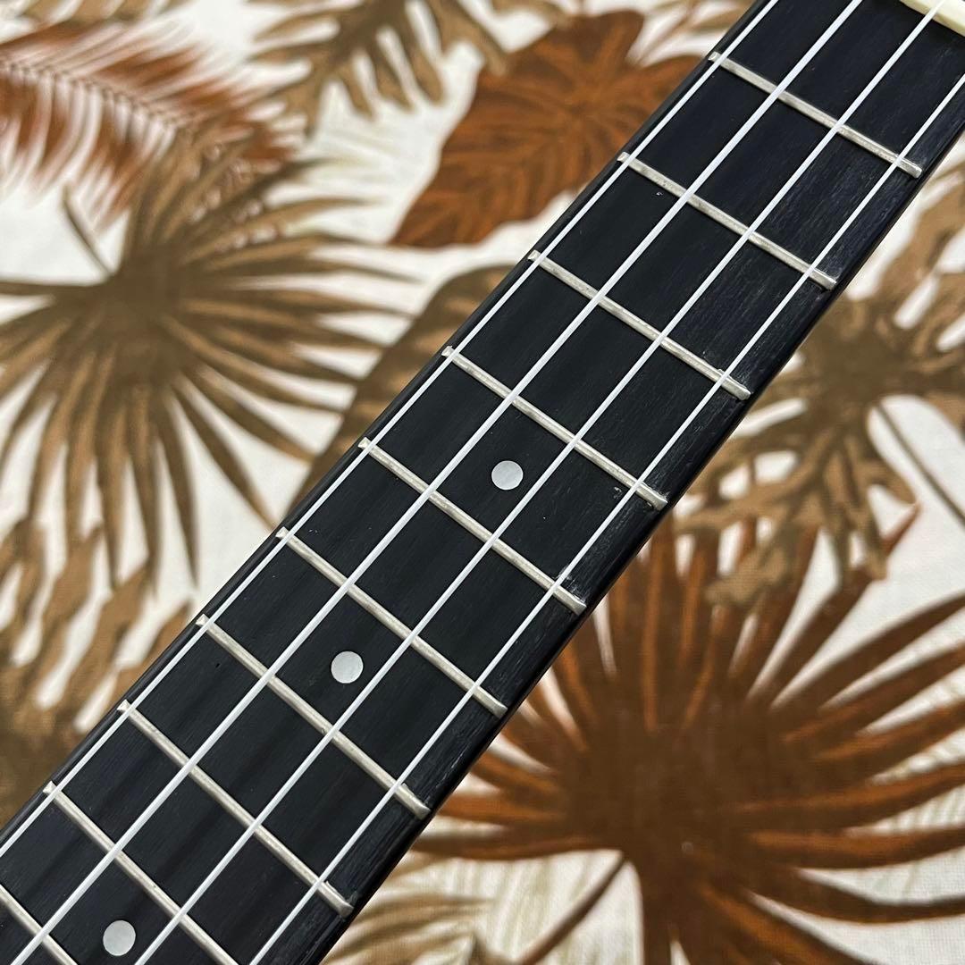 【高級材】Smijer黒檀材とシャム柿のコンサート・ウクレレ【ウクレレ専門店】