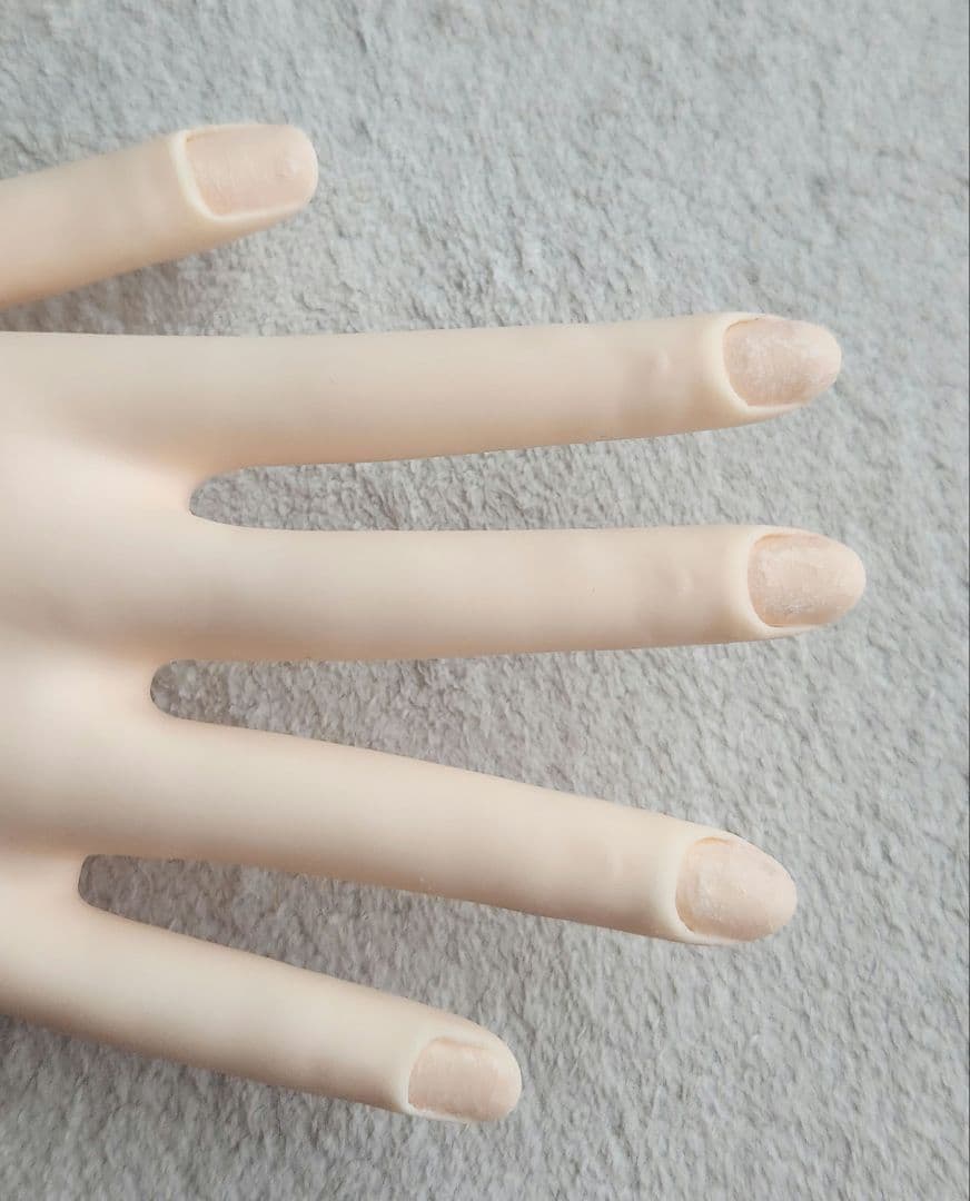 JNEC認定モデルハンド ST MODEL HAND