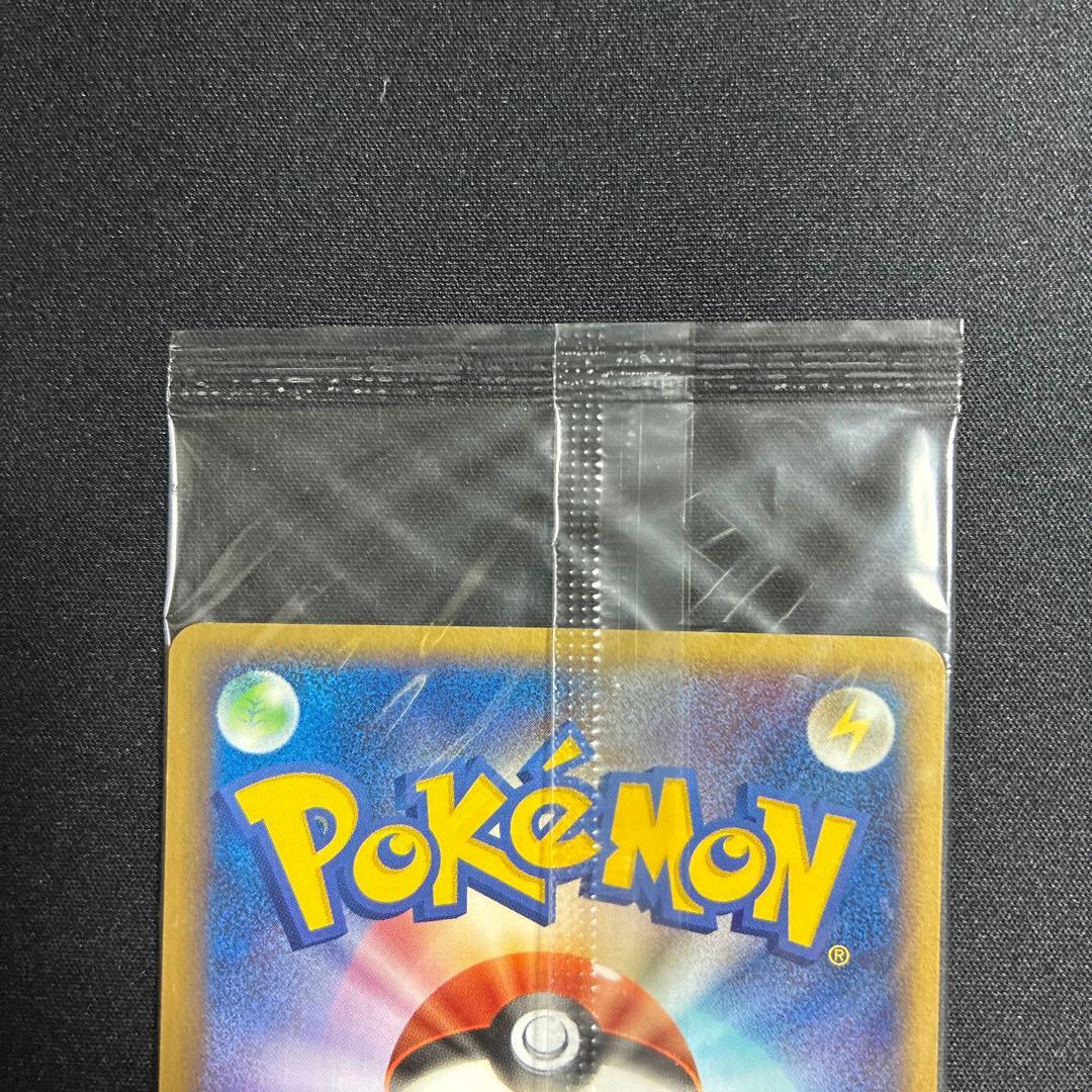 未開封　ポケパークのゴンベ　ポケパーク　プロモ　ポケモンカード　ポケカ