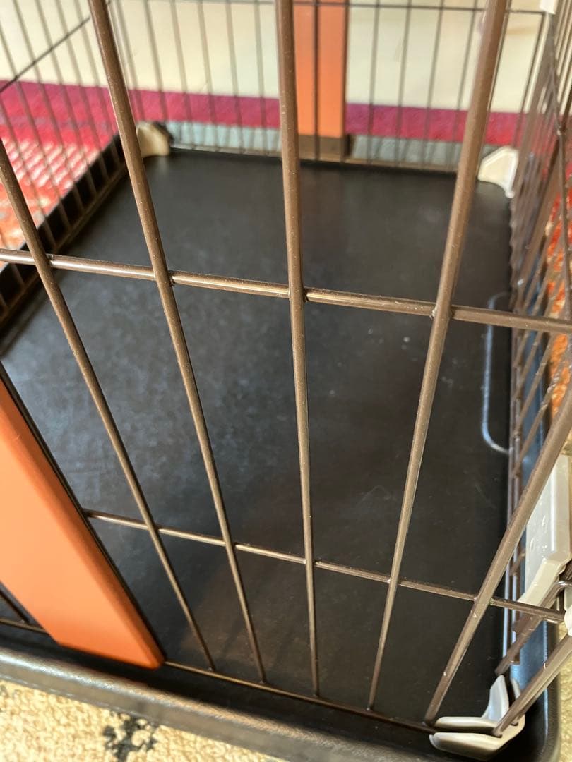 ボンビアルコン　ウッドワンサークル　キャット　ミニ　3ヶ月使用