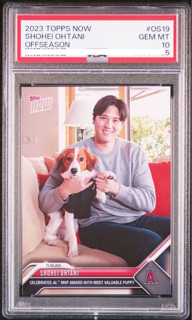 2023 Topps Now 大谷翔平　2枚セット