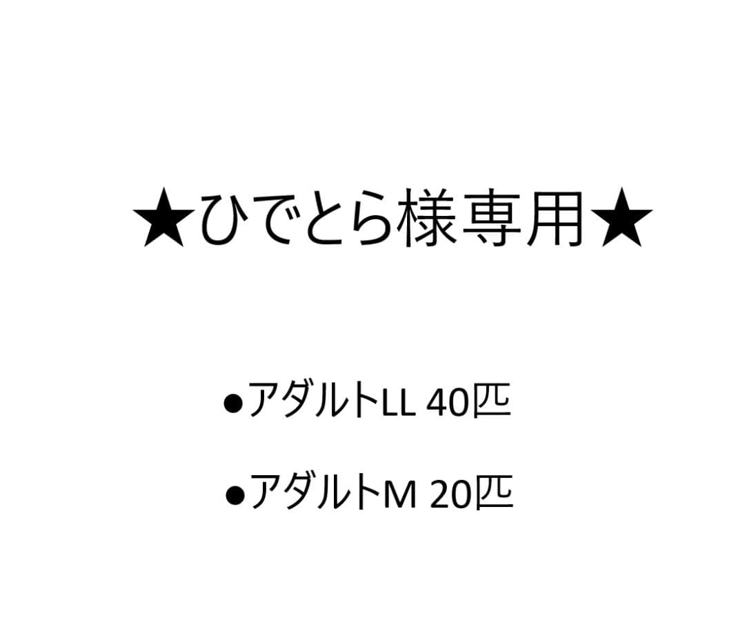 ★ひでとら★国産冷凍マウス　アダルトLL 40匹　アダルトM 20匹