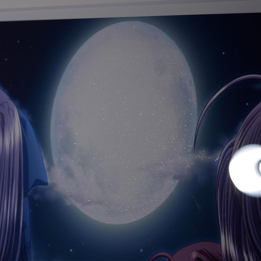 西又葵 Moon light シルクスクリーン アールビバン 額装 保証書あり