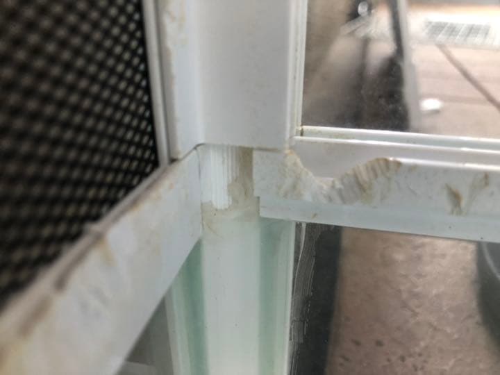 パンテオン　6045