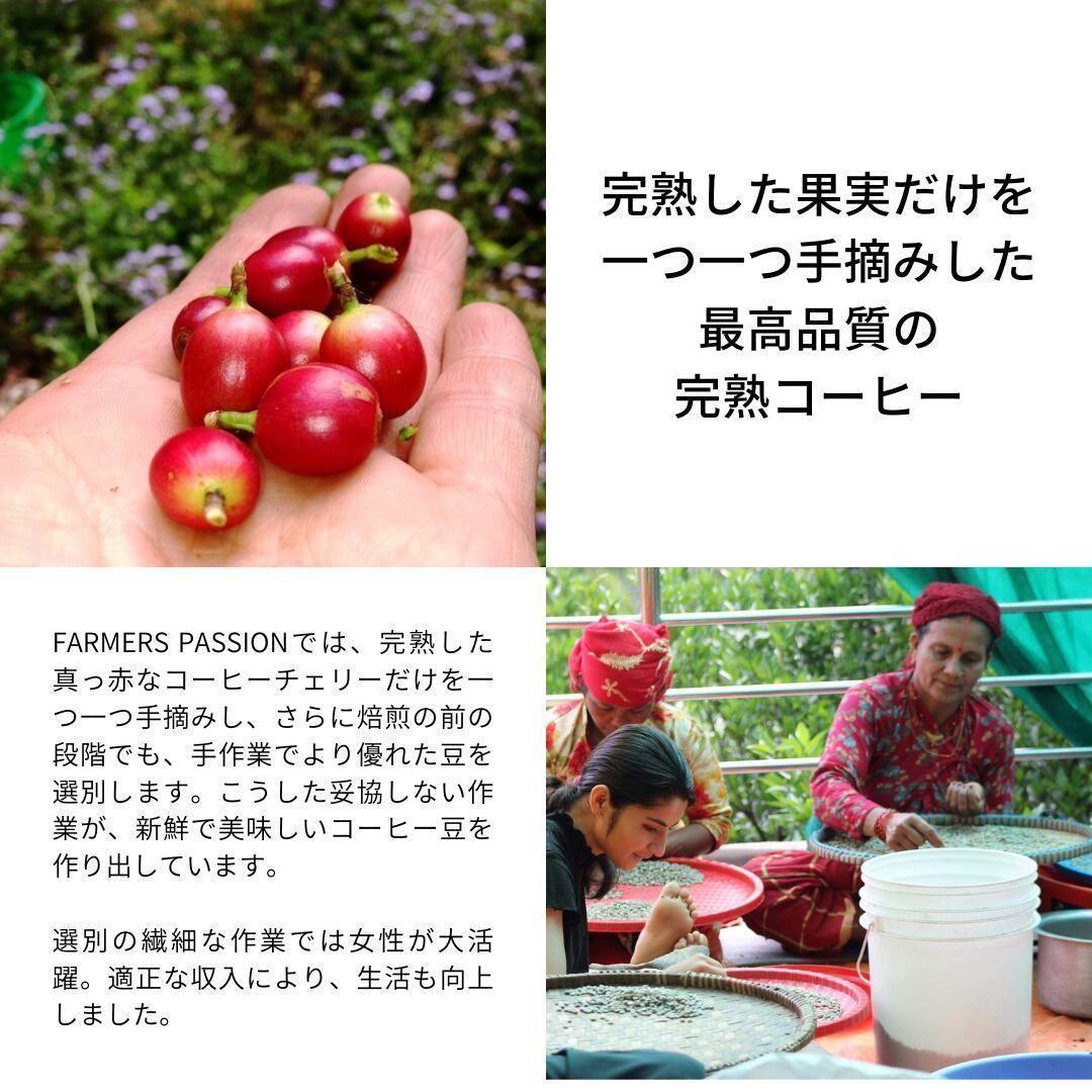 ○オーガニックコーヒー アメリカン フェアトレード 1kg コーヒー豆 ネパール