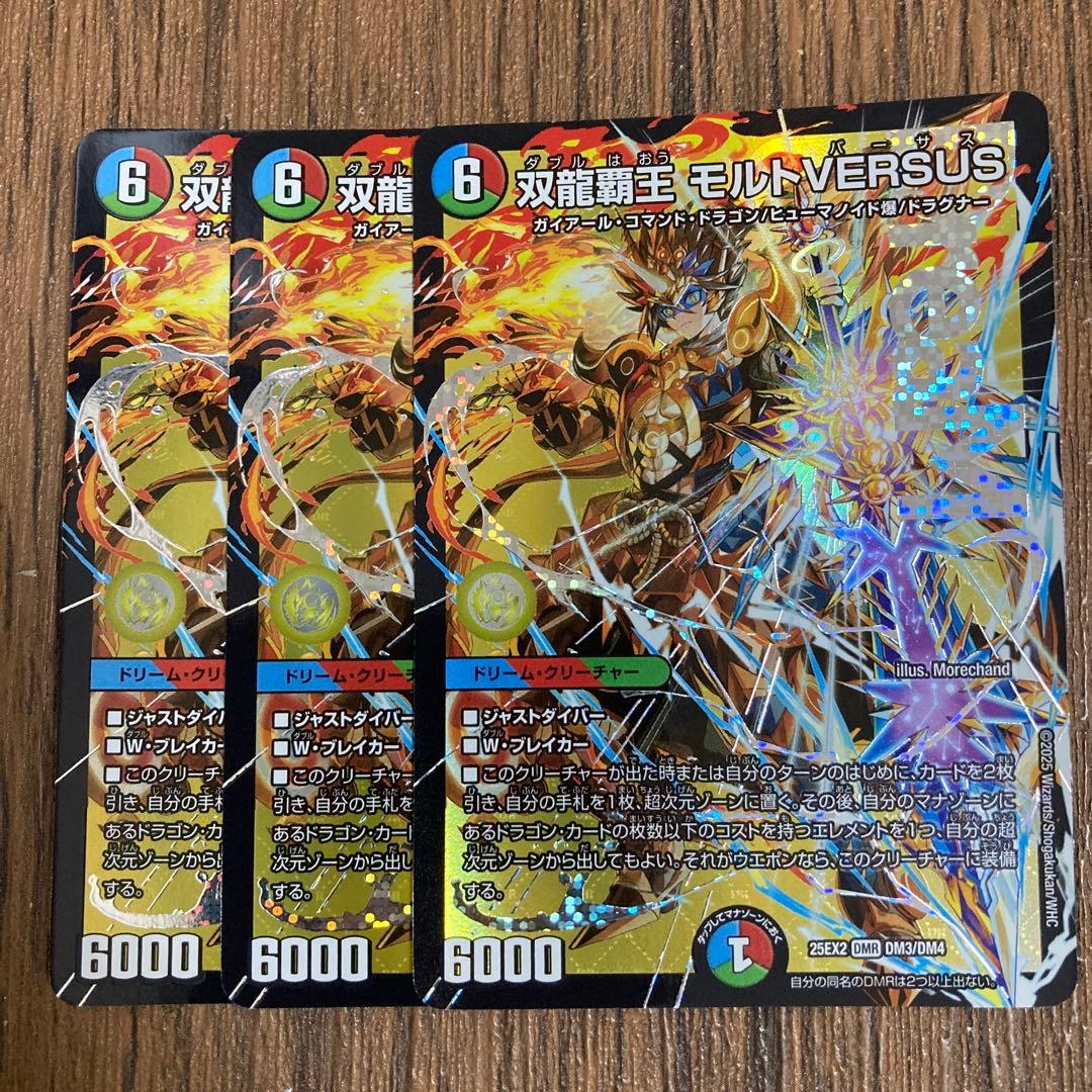 双龍覇王モルトversus