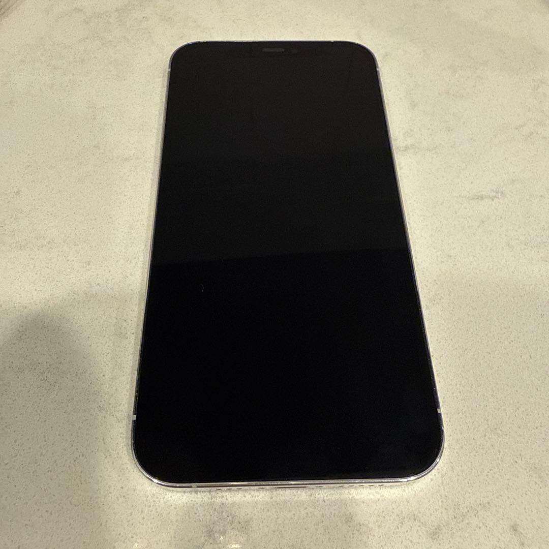 iPhone12pro シルバー128GB ビションフリーゼ柄カバー×4おまけ付