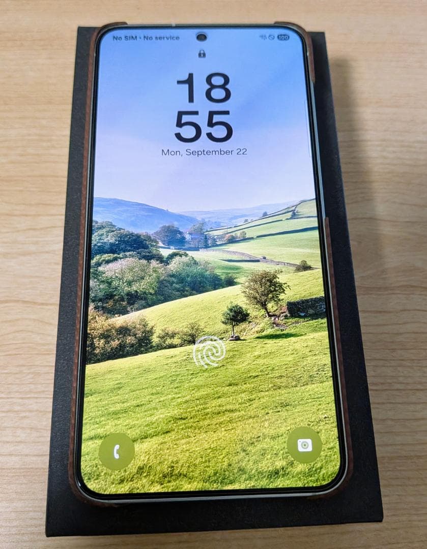 【美品】Samsung Galaxy S25 256GB ミント ＋ ケース