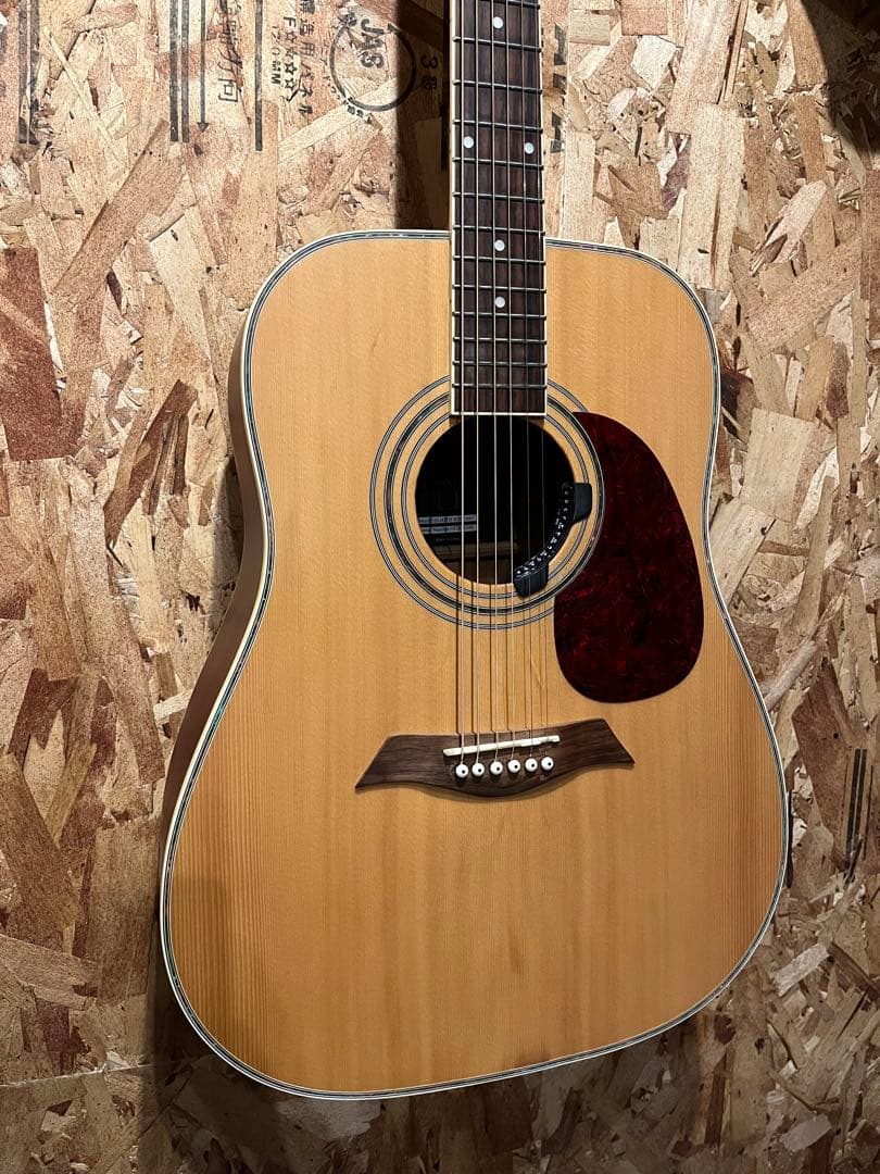 Elioth アコースティックギター　ペグGOTOHマグナムロック改