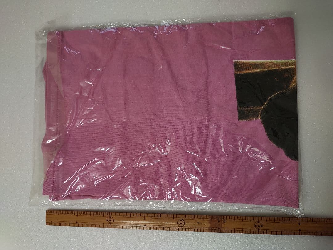 ハイロウズライブTシャツ MサイズDo the mustang