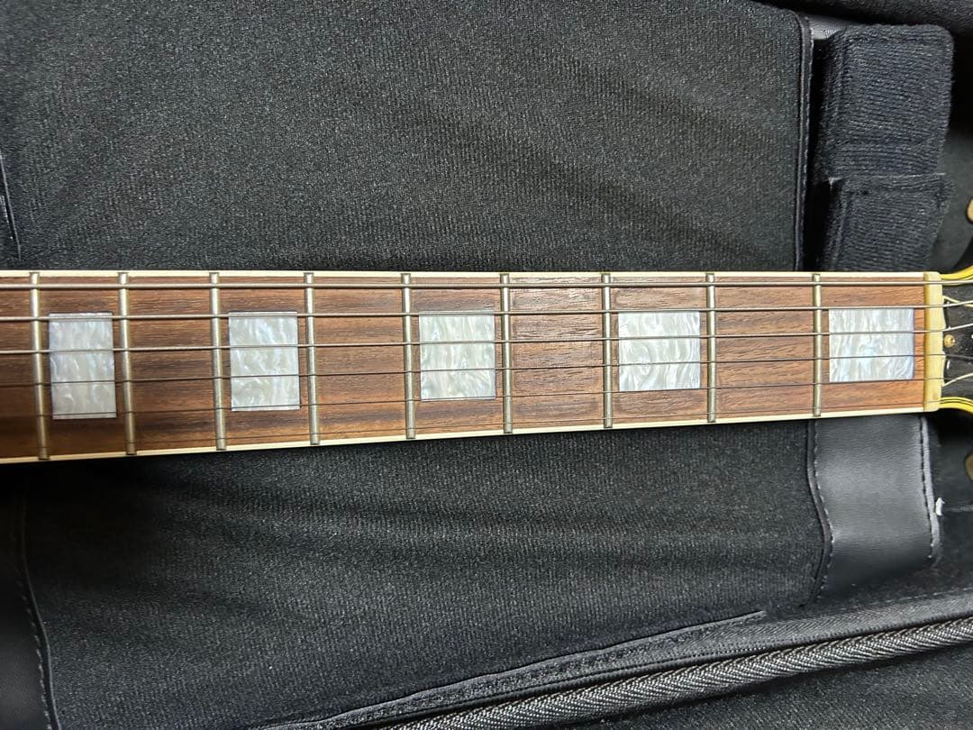 Epiphone Les Paul Custom LQフジゲン