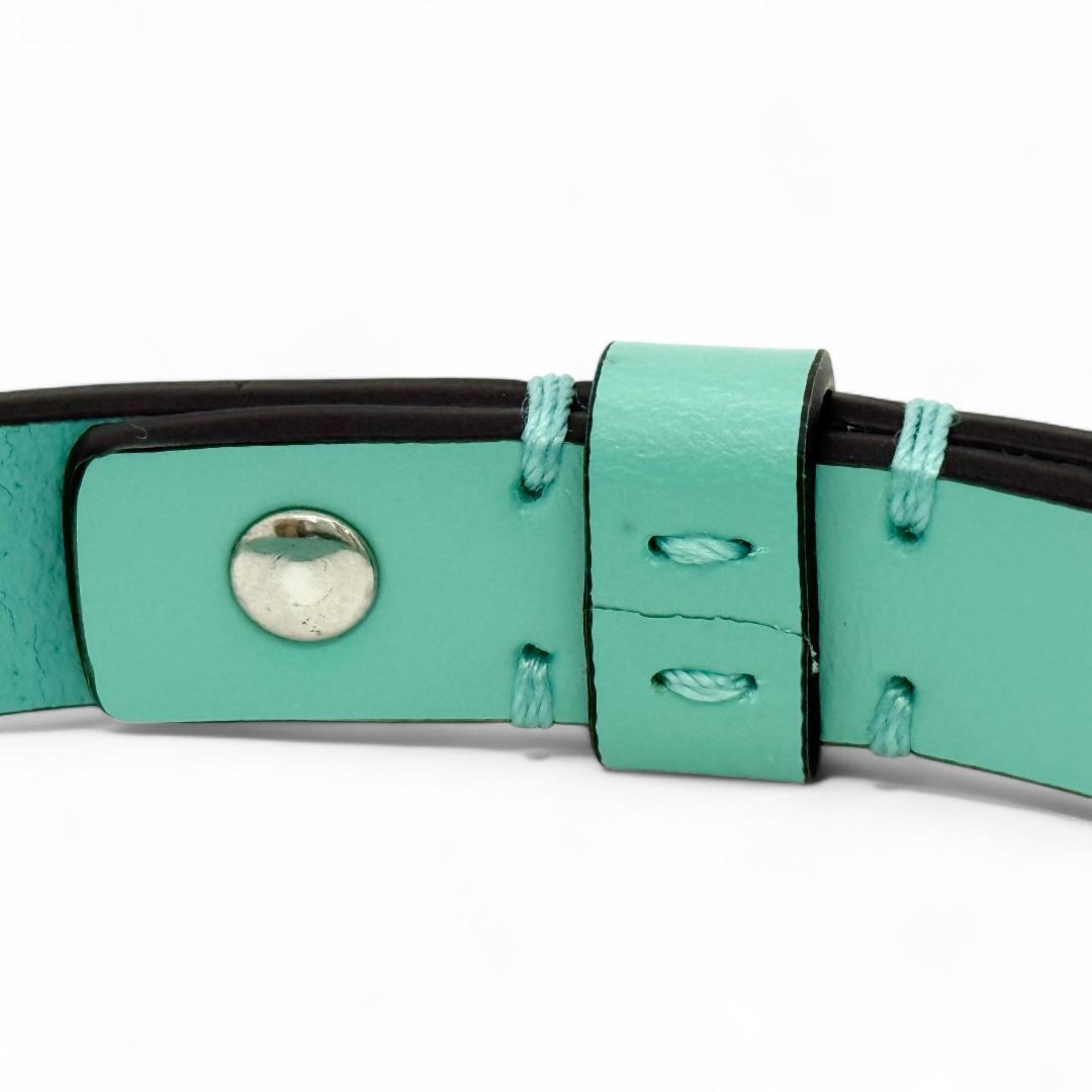 K5455 Tiffany ティファニー リード ペットリーシュ 犬 首輪 箱