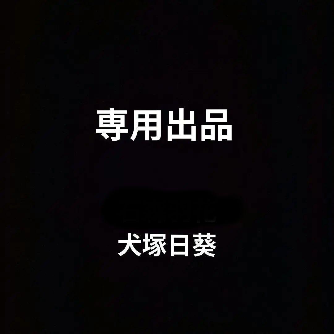 専用出品　犬塚日葵　L判サイズ　ブロマイド