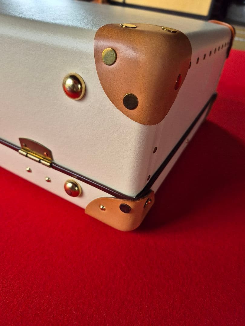 グローブトロッター「サファリ」エアキャビン