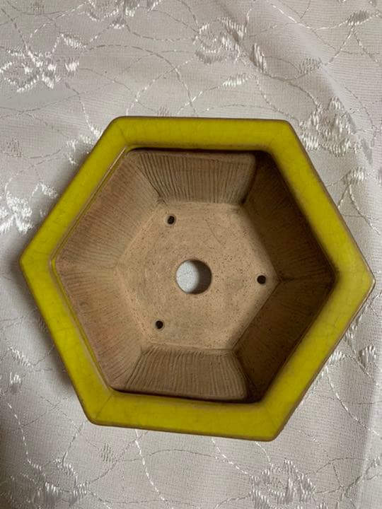 美芸　盆栽鉢　六角