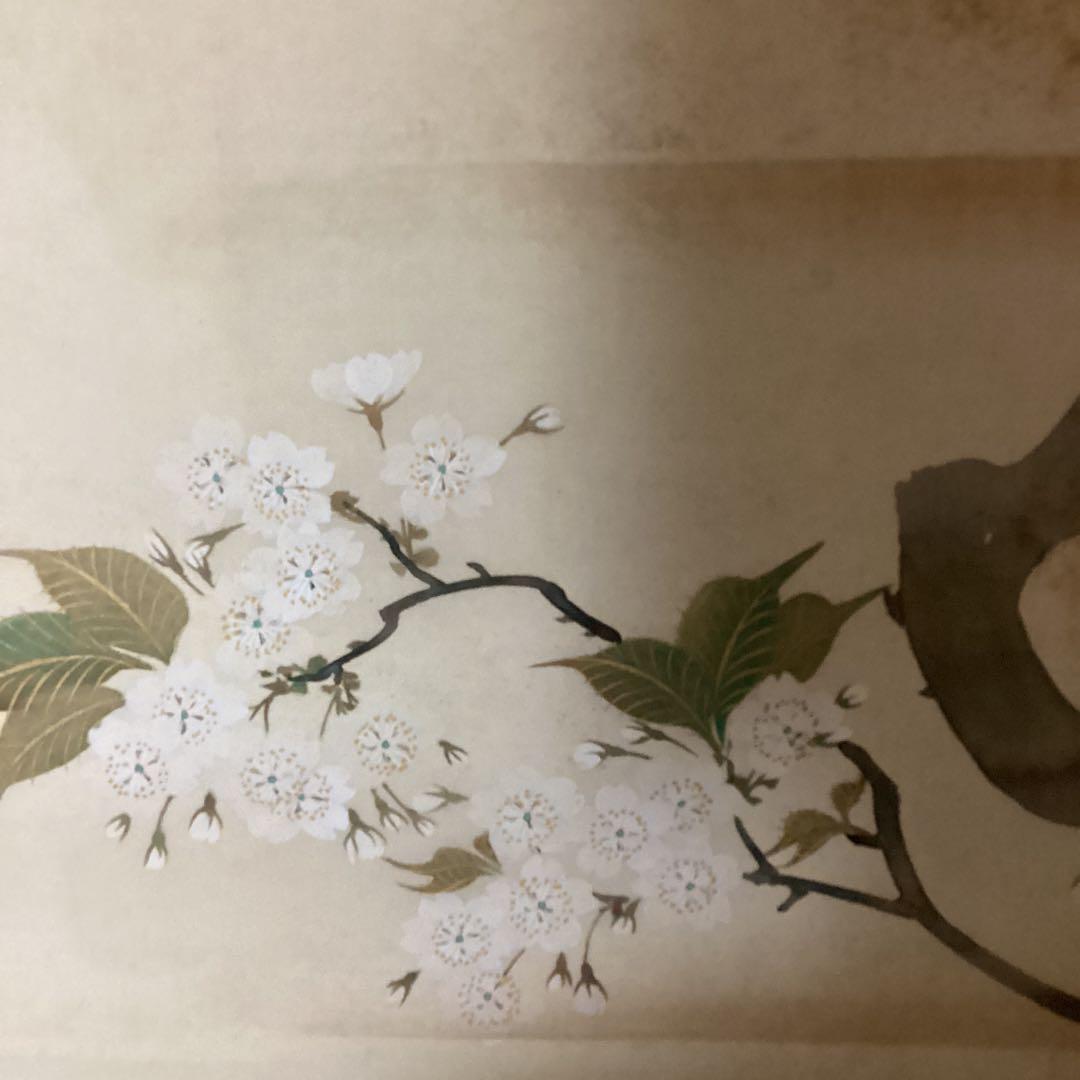 山元春挙　　花鳥図捲り　絹本彩色画　肉筆　落款印譜照合　箱付き　模写　115