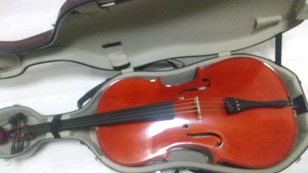 Playtech プレイテック チェロ 4/4 ハードケース付き