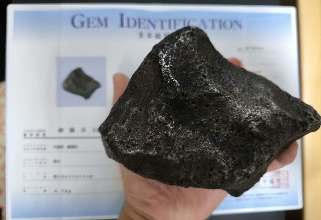 ナンタン隕石 約4.6kg 鑑別書付 極上品質 良型 鉄隕石