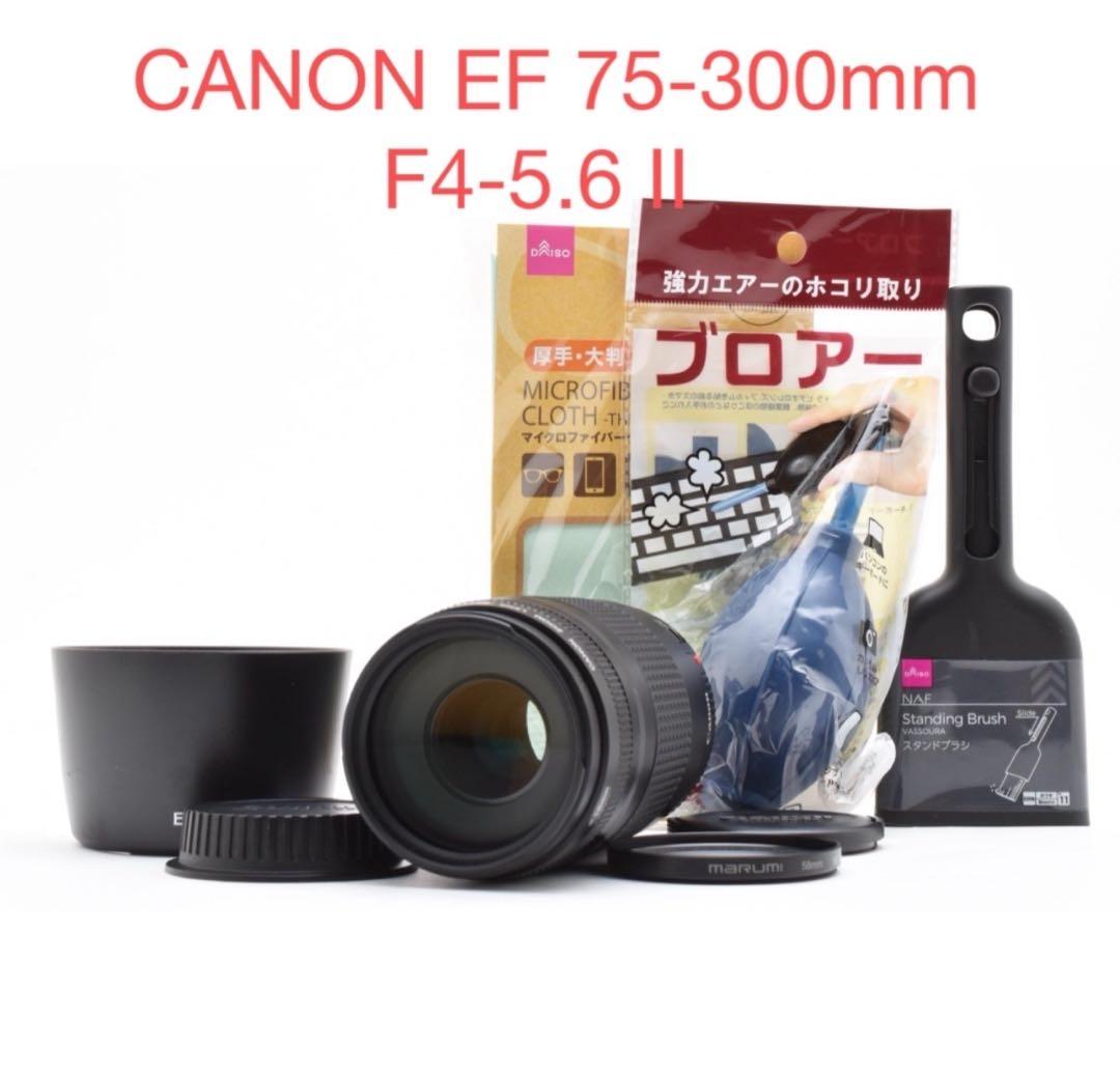 望遠レンズ　 CANON EF 75-300mm F4-5.6 II