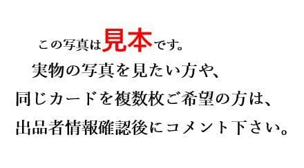 旧 デジモンカード　アーマゲモン　Bo-1013　整理番号、ps-91