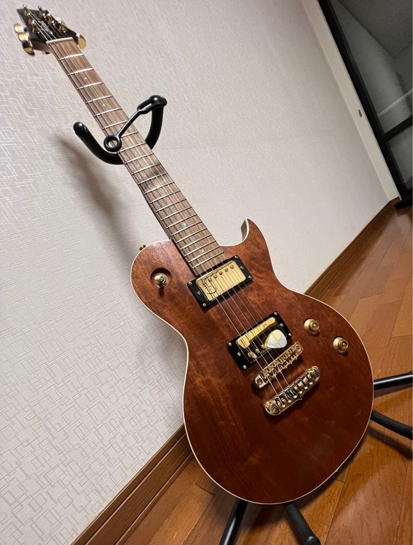 エレキギター Aria Pro 2 PE-MAHO ll