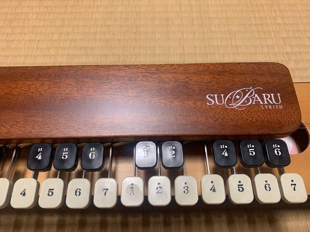 【送料込】大正琴 ライリッシュ スバル　ソプラノ