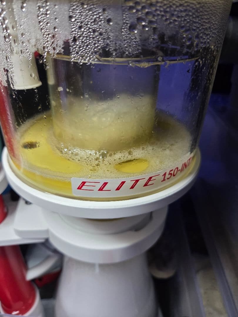 Elite 150-INT プロテインスキマー