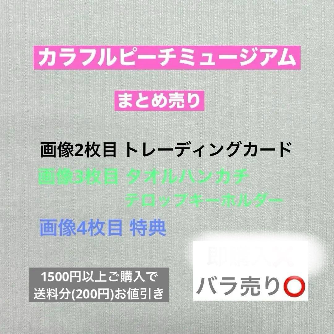 からぴちミュージアム まとめ売り 【説明欄必読】