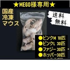★MEGO★国産冷凍マウス リクエスト品