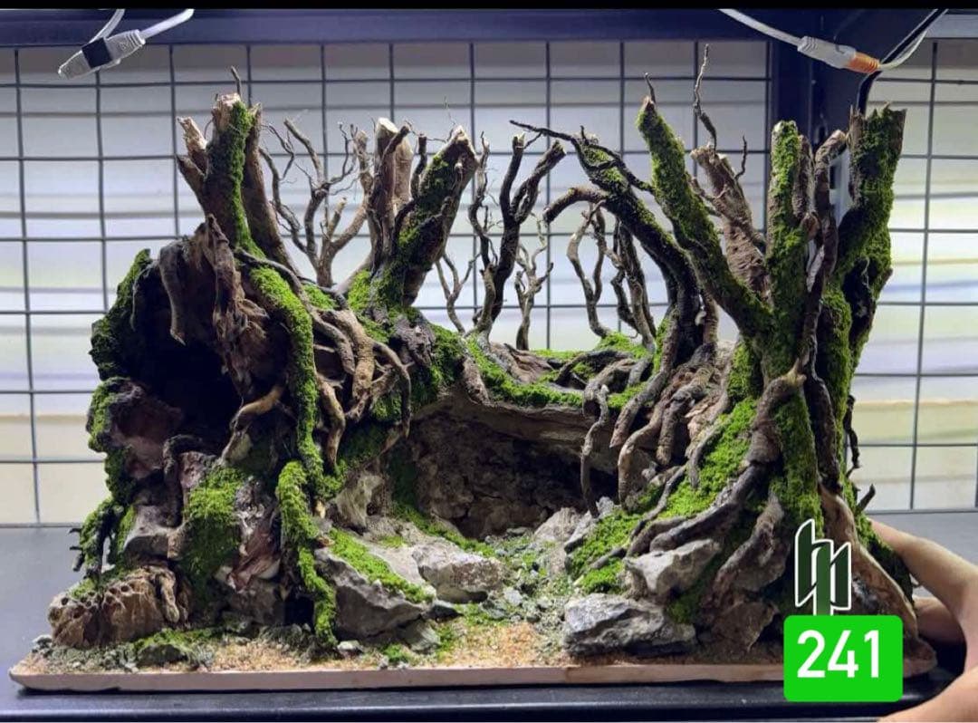 TTD 24160 【⭐︎ きょ様⭐︎】【美品・数量限定】