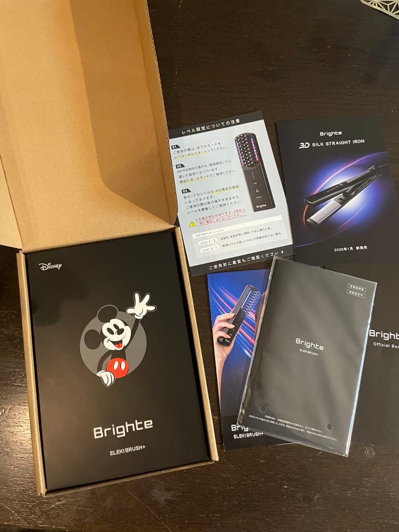 Brighte 3D SILK STRAIGHT IRON ミッキーマウス