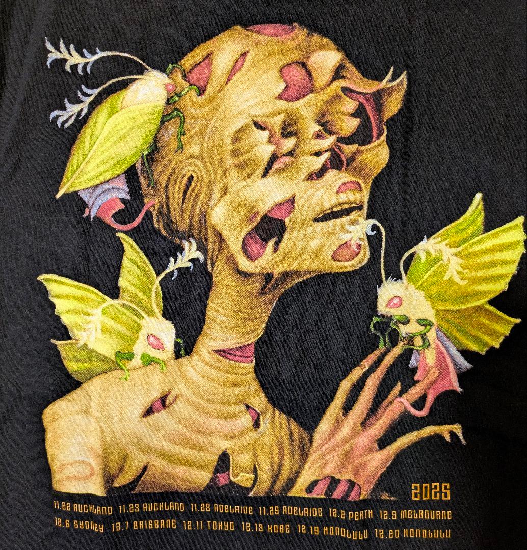 【未着用フライヤー付】TOOL 2025 TOUR Tシャツ L