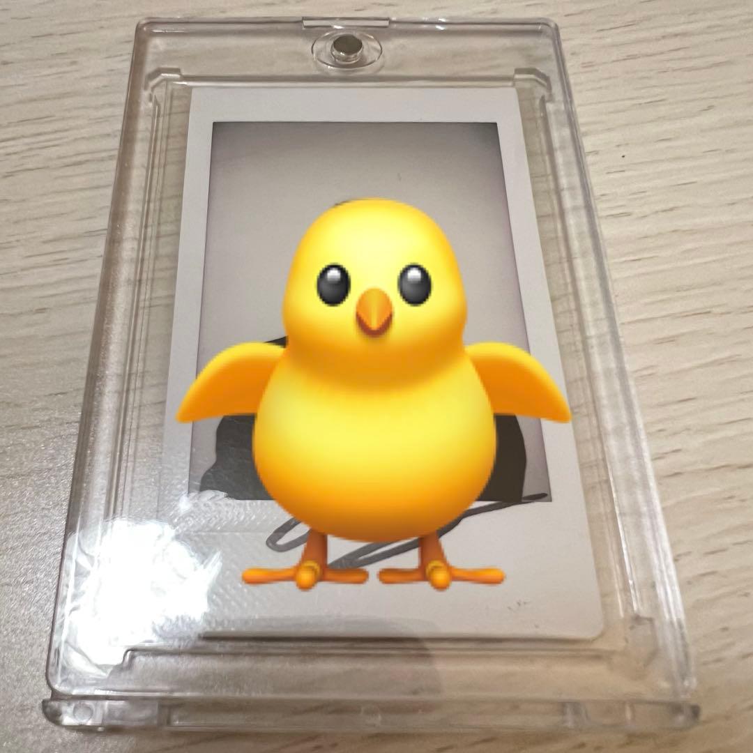 Straykids 直筆サイン入りチェキ　フィリックス　circus FC限定