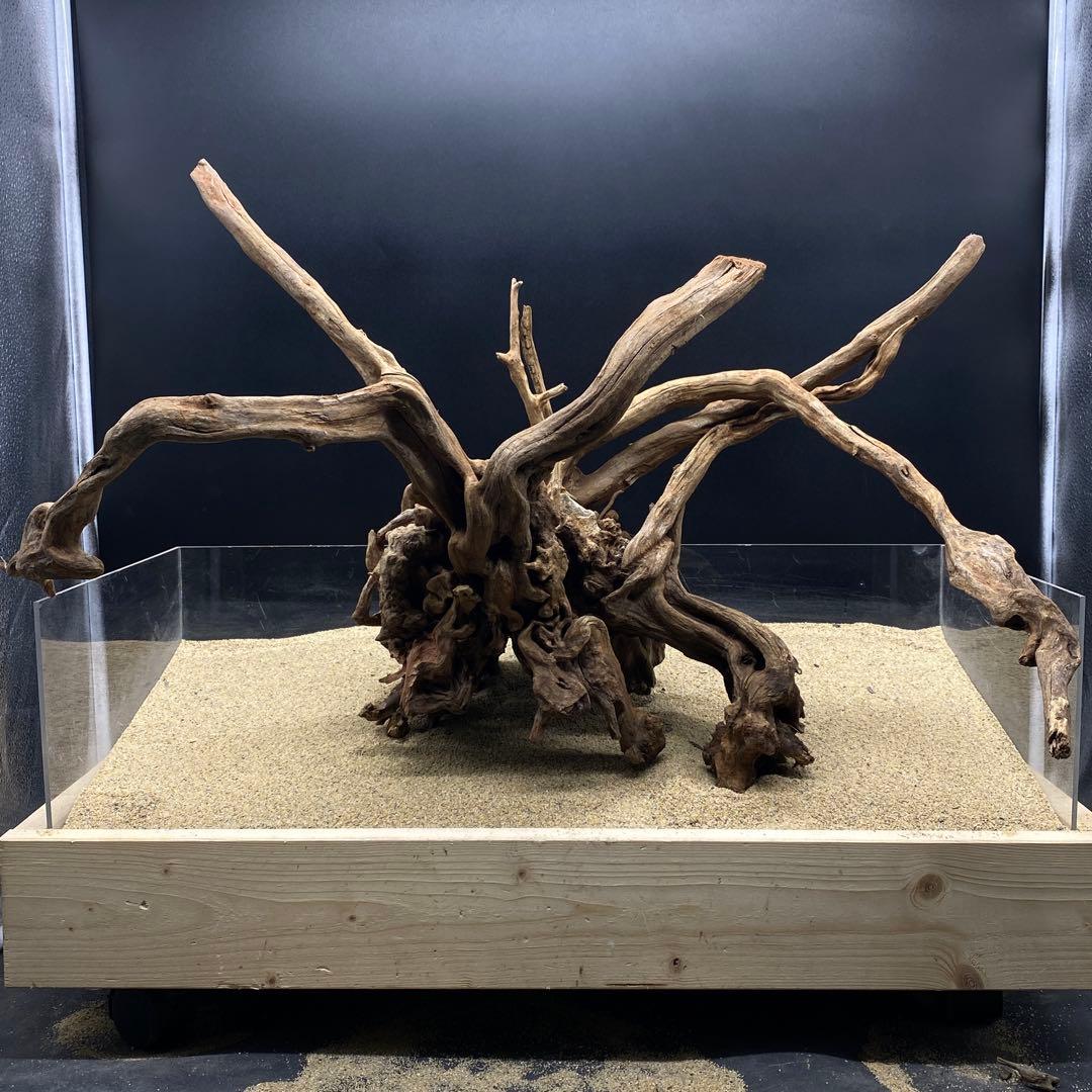 MSRW-6625 特大天然流木1点物　スリムウッド　アクアリウム