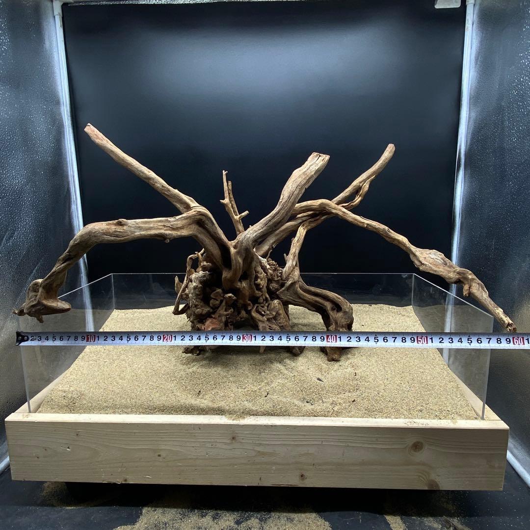 MSRW-6625 特大天然流木1点物　スリムウッド　アクアリウム