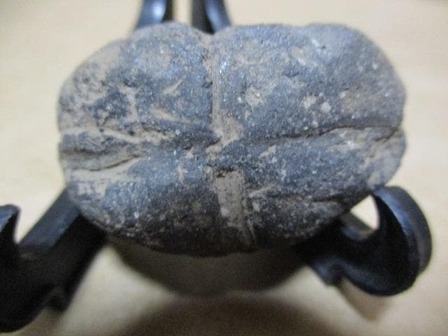 縄文土器　小動物？昆虫？珍品　箱付き　R99-2