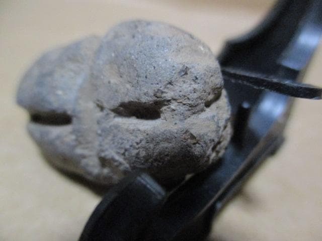 縄文土器　小動物？昆虫？珍品　箱付き　R99-2