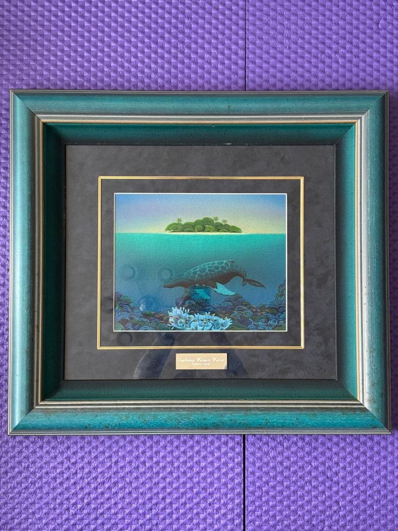 ダレル・フック　原画　オーストラリア　グレートバリアリーフ