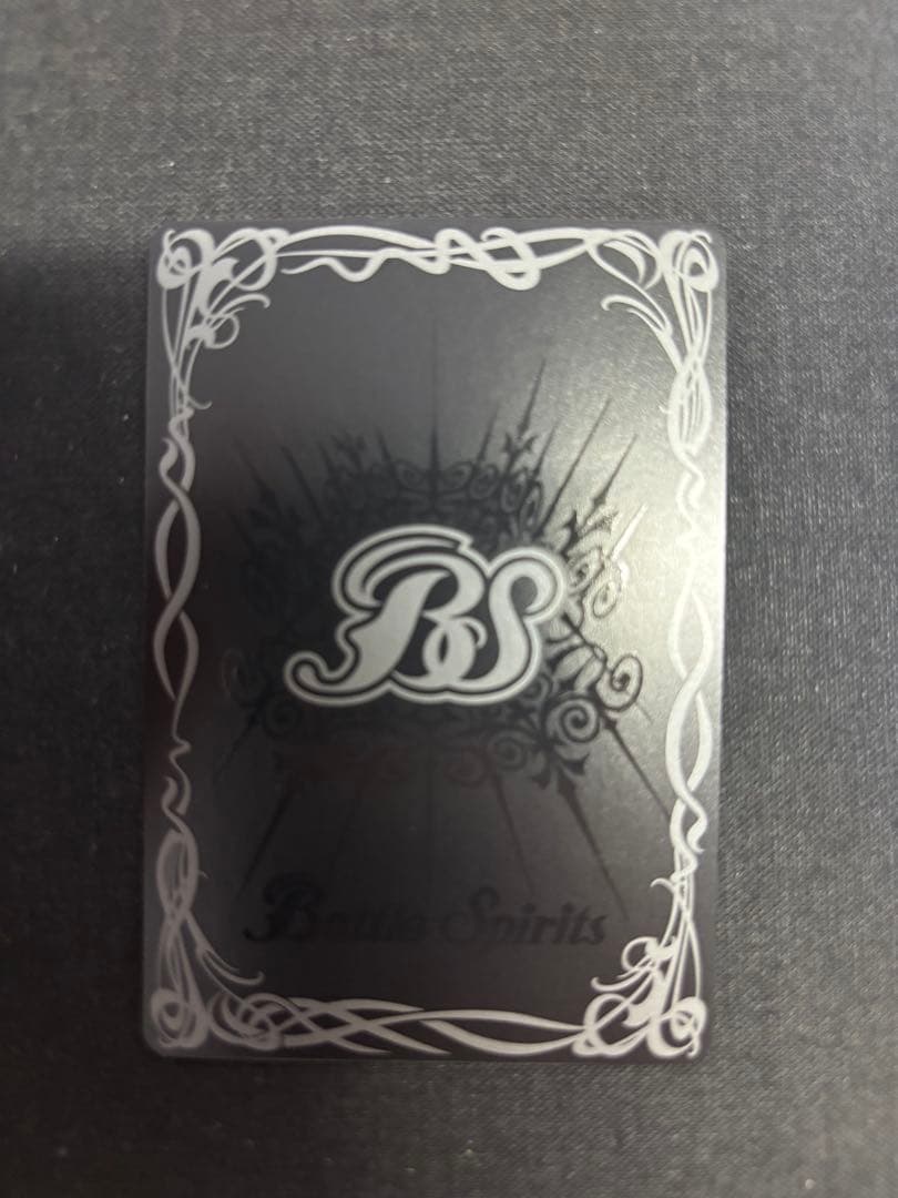 ［ずっと一緒に］レイオーバ　シークレット　10th secret