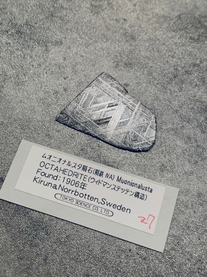 ムオニオナルスタ隕石 標本